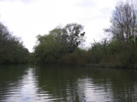 IMG_8048_resize.JPG