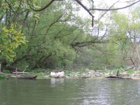 IMG_8073_resize.JPG