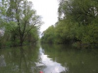 IMG_8078_resize.JPG