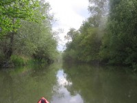 IMG_8085_resize.JPG