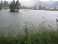 IMG_9037_resize.JPG