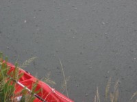 IMG_9038_resize.JPG