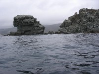 IMG_9702_resize.jpg