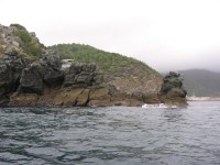 IMG_9705_resize.jpg