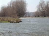 IMGP5910.JPG