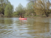 dsc00727_resize.jpg