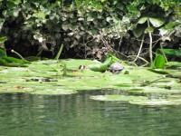 IMG_1323_resize.JPG