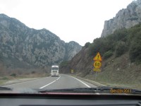 IMG_3411_resize.JPG