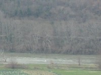 IMG_3384_part.JPG
