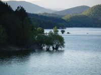 P5067298_resize.JPG