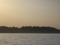 IMG_7029.JPG