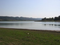IMG_7035.JPG