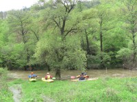 IMG_3408_resize.JPG